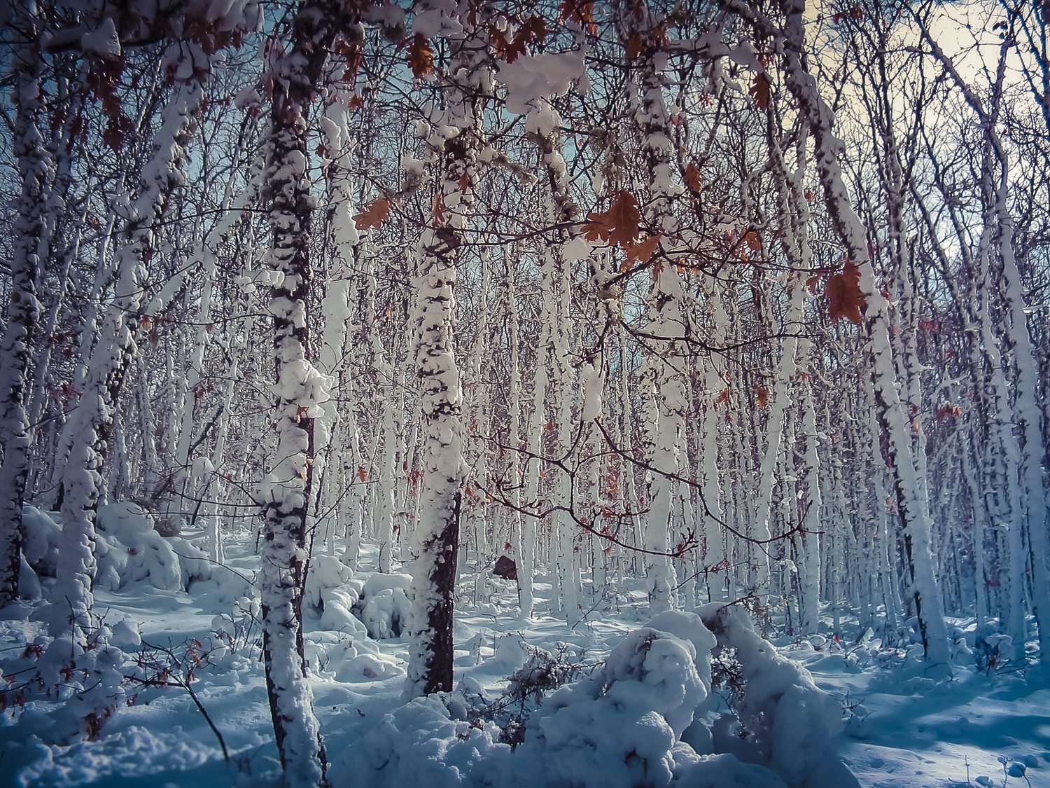 VALLES GLACIARES EN RAQUETAS DE NIEVE