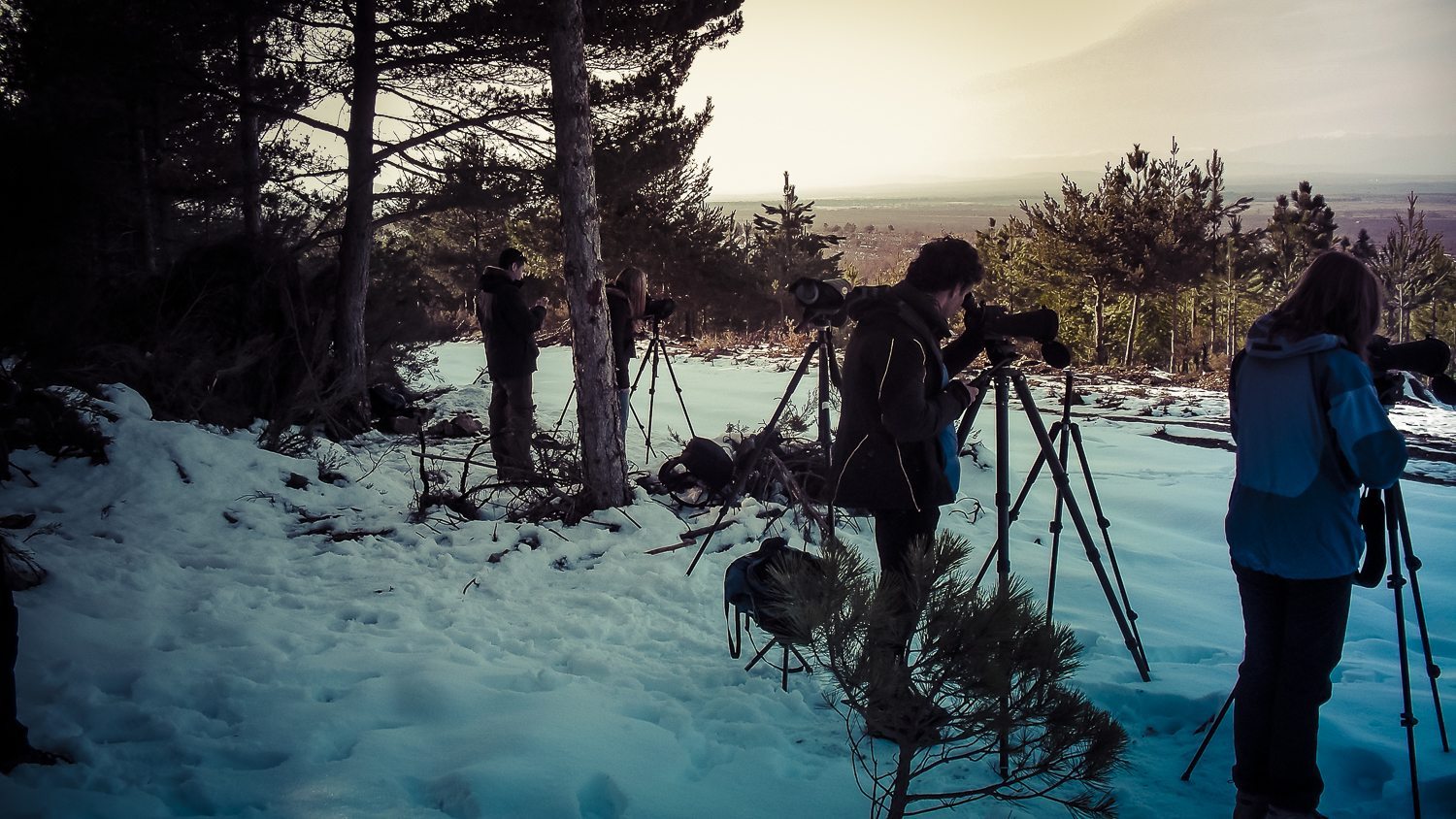 UN DÍA EN EL TERRITORIO DEL LOBO IBÉRICO