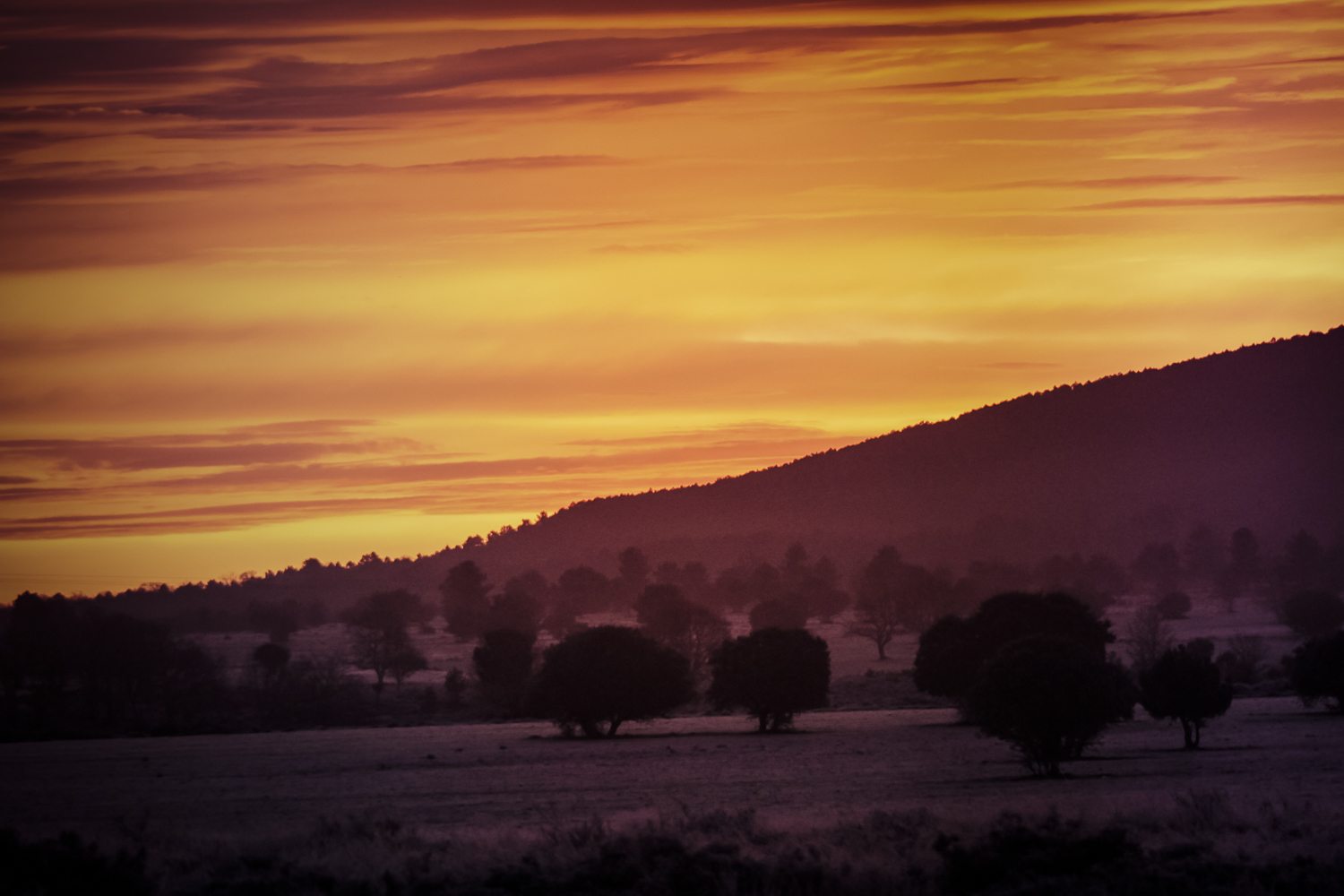 Sierra de la Culebra - Foto Lorenzo