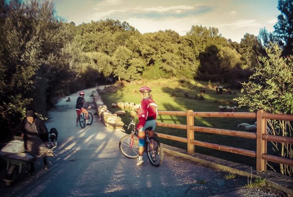 rutas en bicicletas de montaña