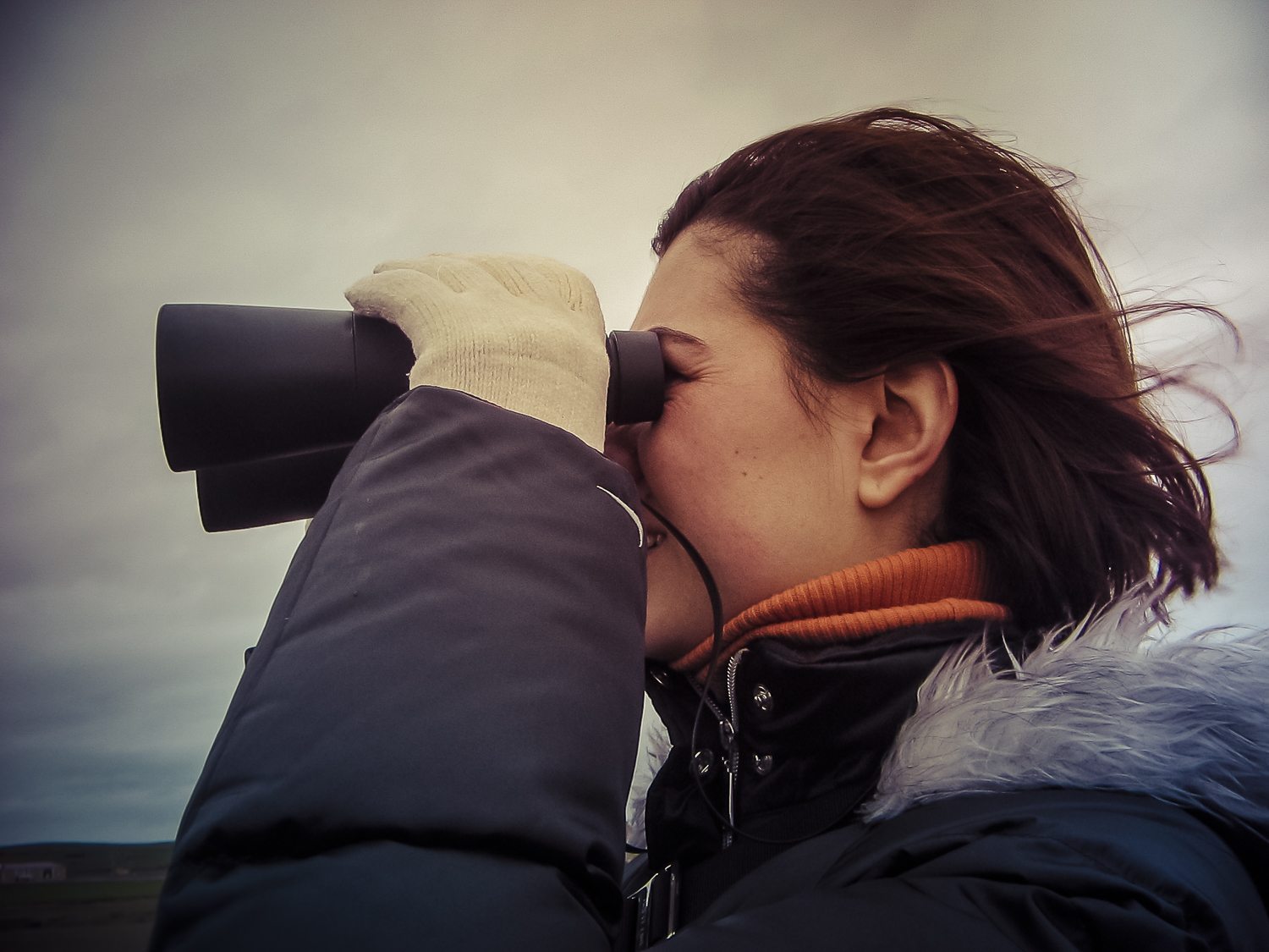 Observacion aves Arribes del Duero