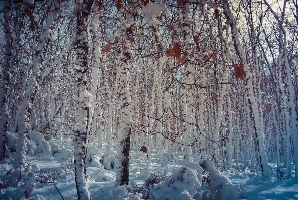 VALLES GLACIARES en RAQUETAS DE NIEVE
