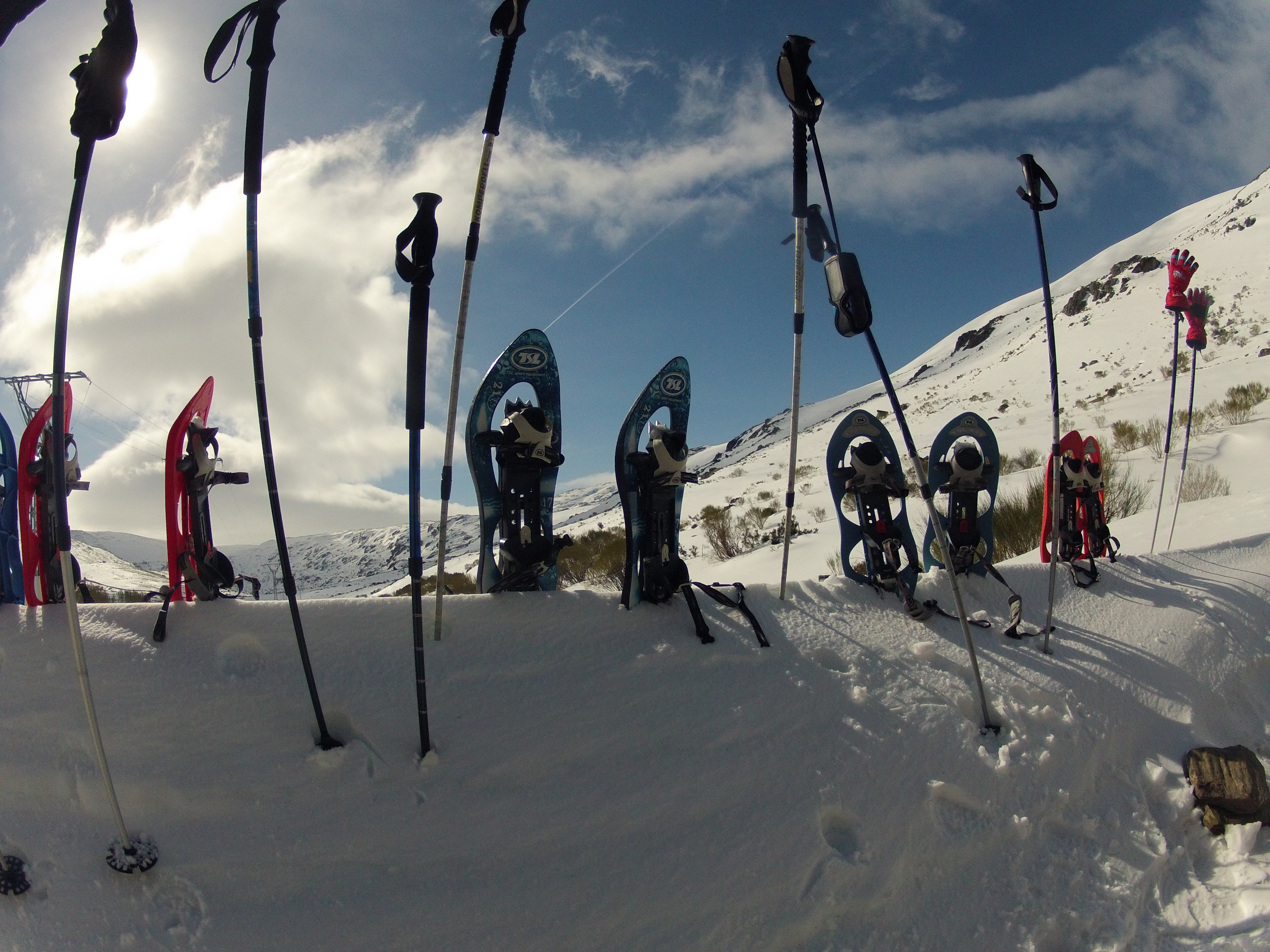 Recupera tu conexión con la naturaleza; Raquetas de nieve